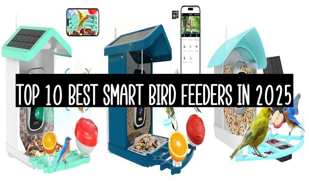 Top 10 Best Smart Bird Feeders In 2025